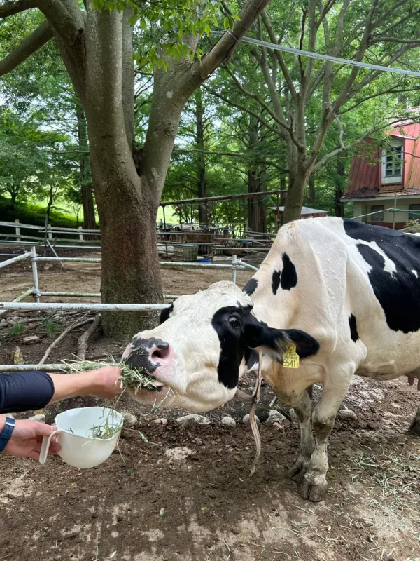 動物敬老の日